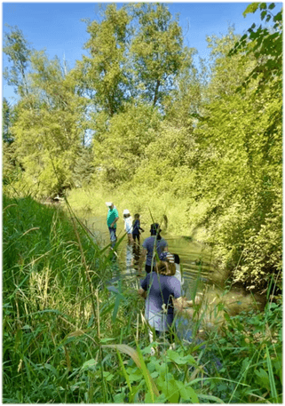 GUIDED TOURS