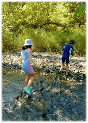 NATURE TRAILS