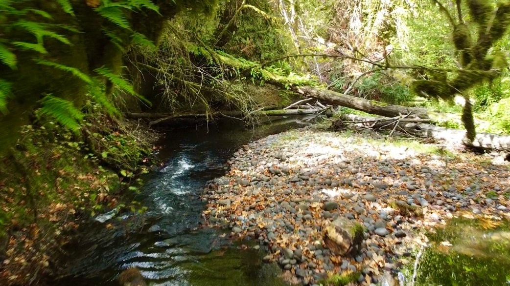 Gallery image 11