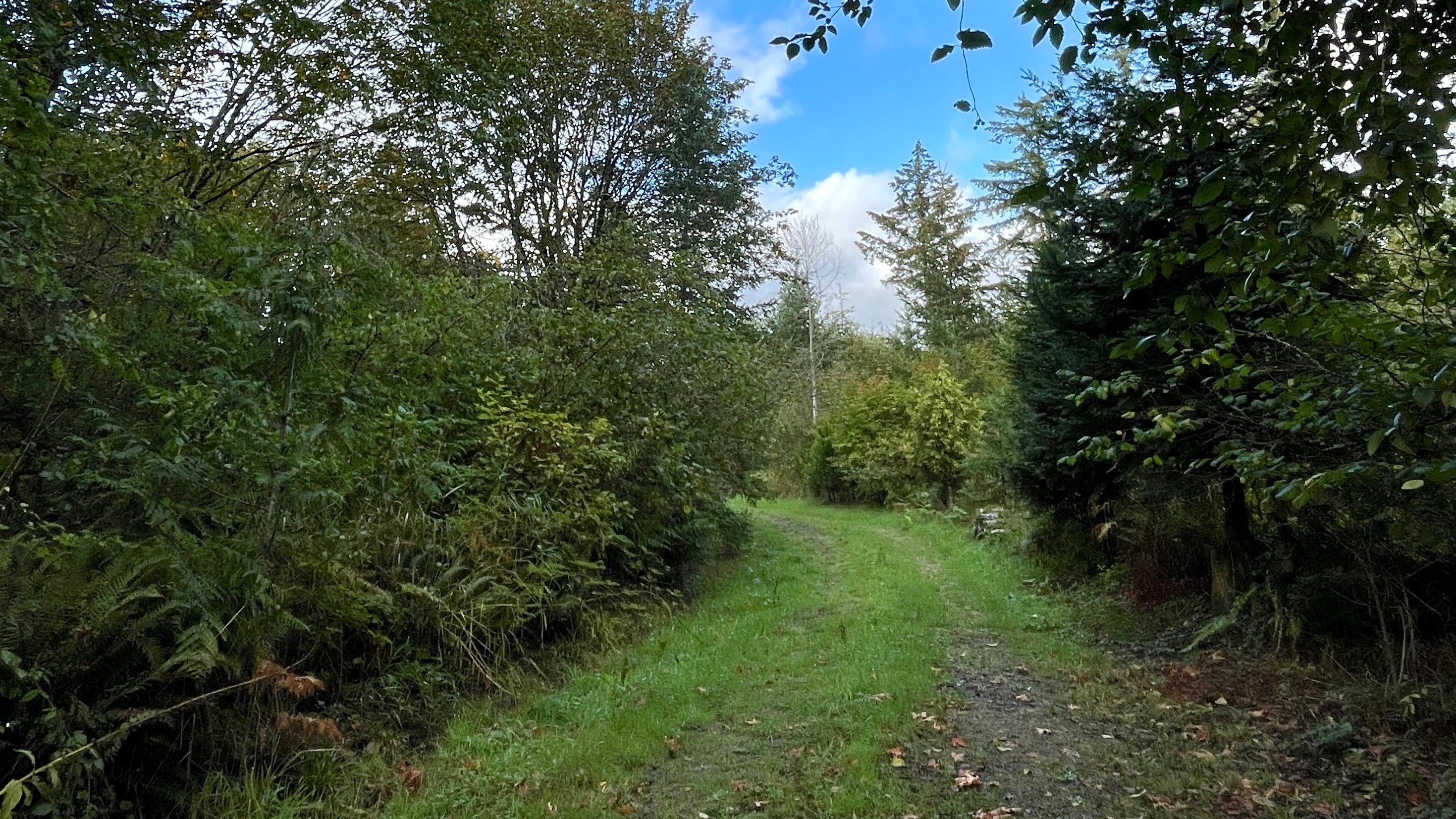 Gallery image 13