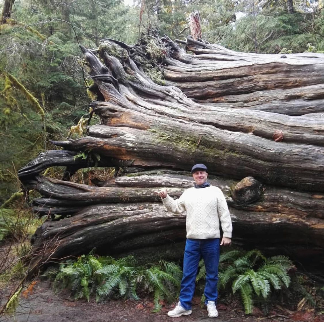 Paul posing infront of massive fallen tree trunks